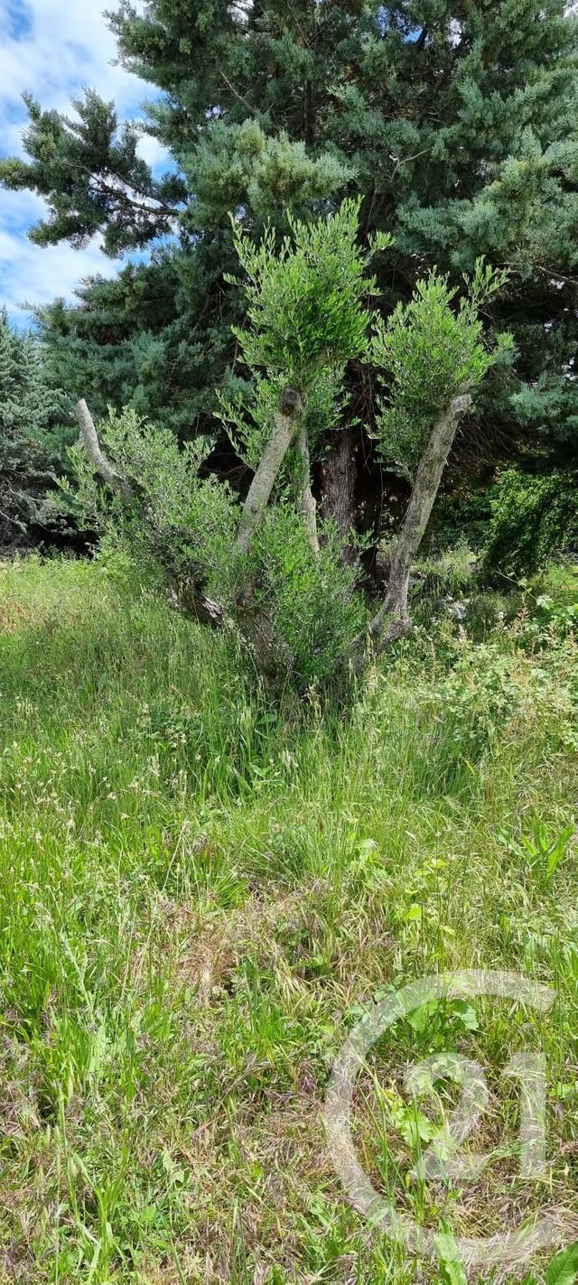 Afficher la photo en grand terrain à vendre - 551.0 m2 - POURRIERES - 83 - PROVENCE-ALPES-COTE-D-AZUR - Century 21 S.C.A Immobilier