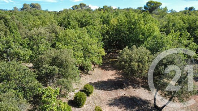 terrain à vendre - 8325.0 m2 - ST JULIEN - 83 - PROVENCE-ALPES-COTE-D-AZUR - Century 21 S.C.A Immobilier