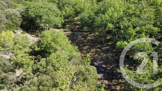 terrain à vendre - 8325.0 m2 - ST JULIEN - 83 - PROVENCE-ALPES-COTE-D-AZUR - Century 21 S.C.A Immobilier